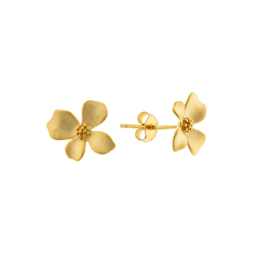 Sidabrinės auksuotos gėlytės matiniu paviršiumi