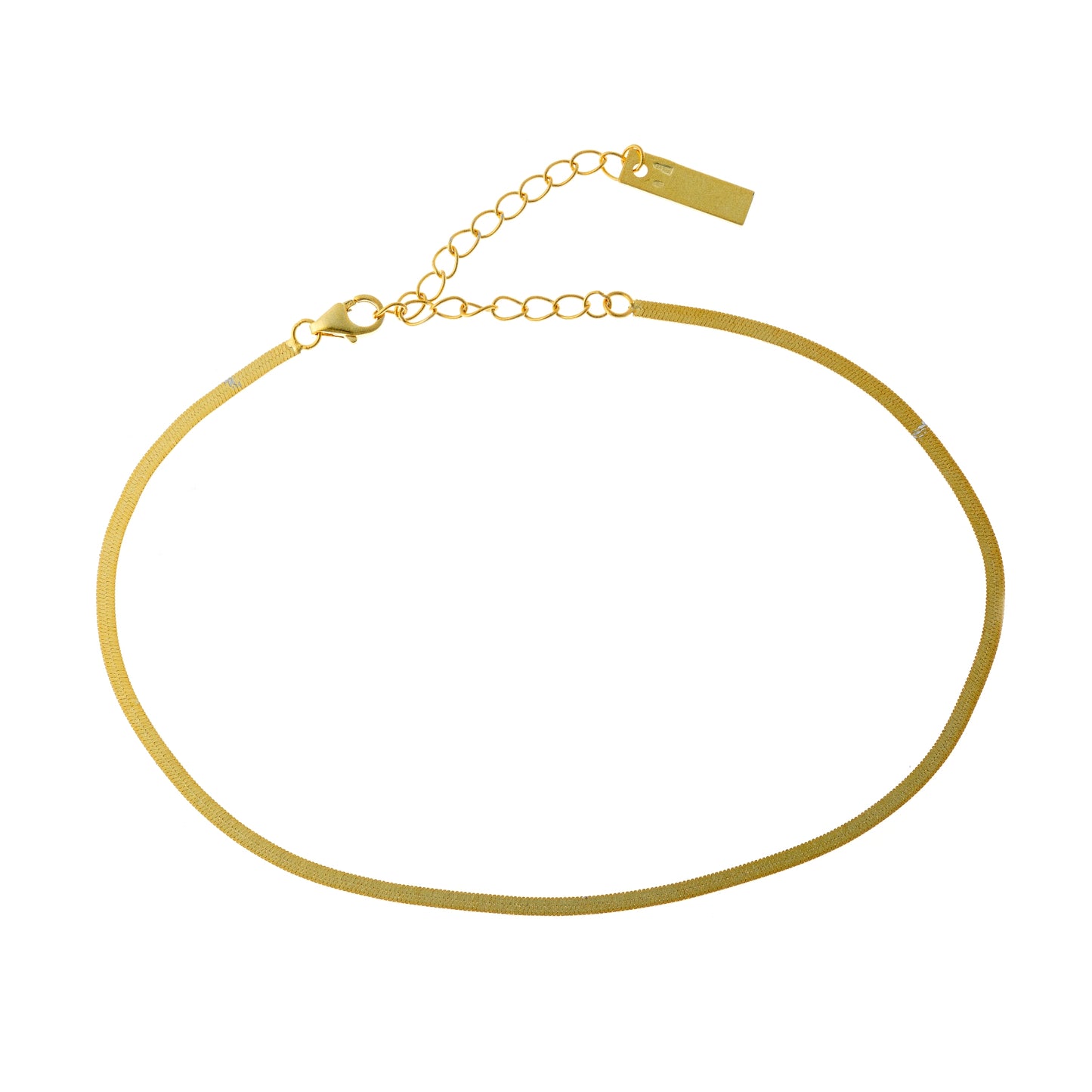 Sidabrinė grandinėlė ant kojos Flat chain