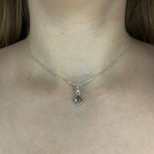 Sidabrinis pakabukas su labradoritu ir grandinėle