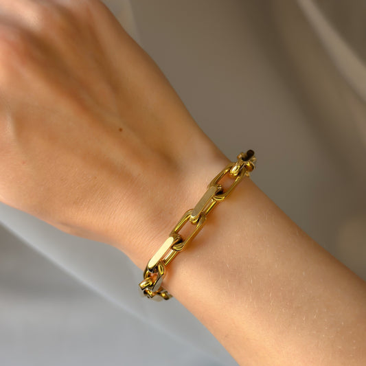 Masyvi auksuota apyrankė Forzentina