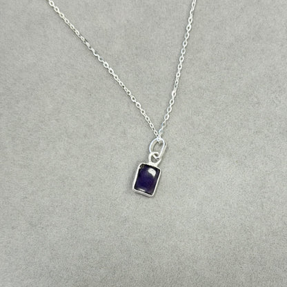 Sidabrinis pakabukas su ametistu ir grandinėle