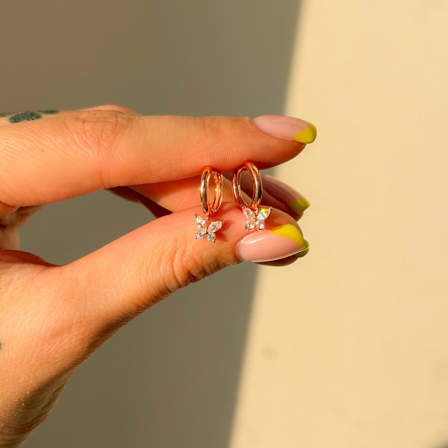 Sidabrinės rinkutės su drugeliu