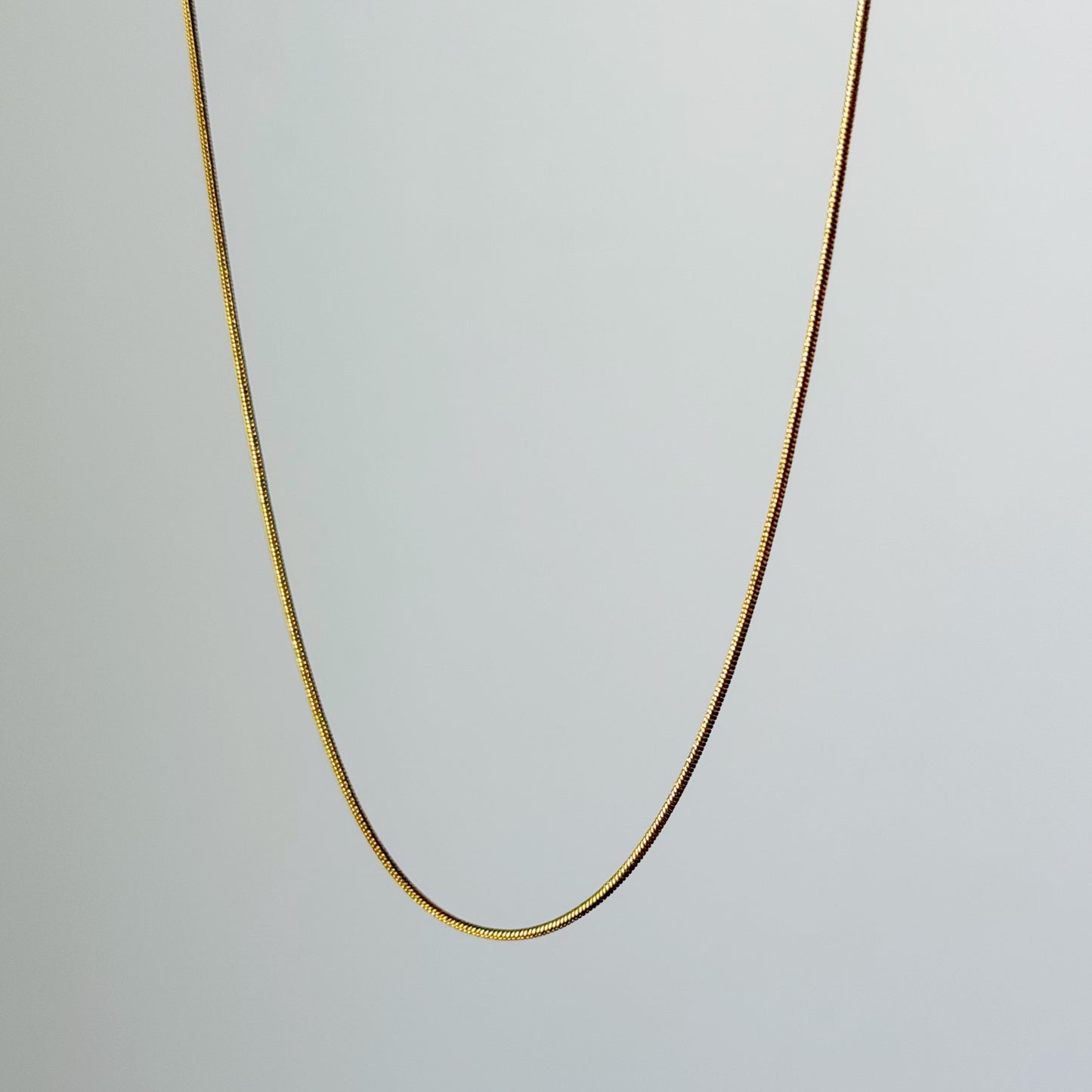 Auksuota grandinėlė "Diamond Cut Snake"